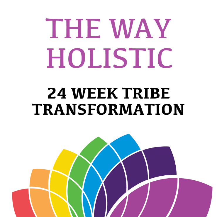 poster of the way 24 week course